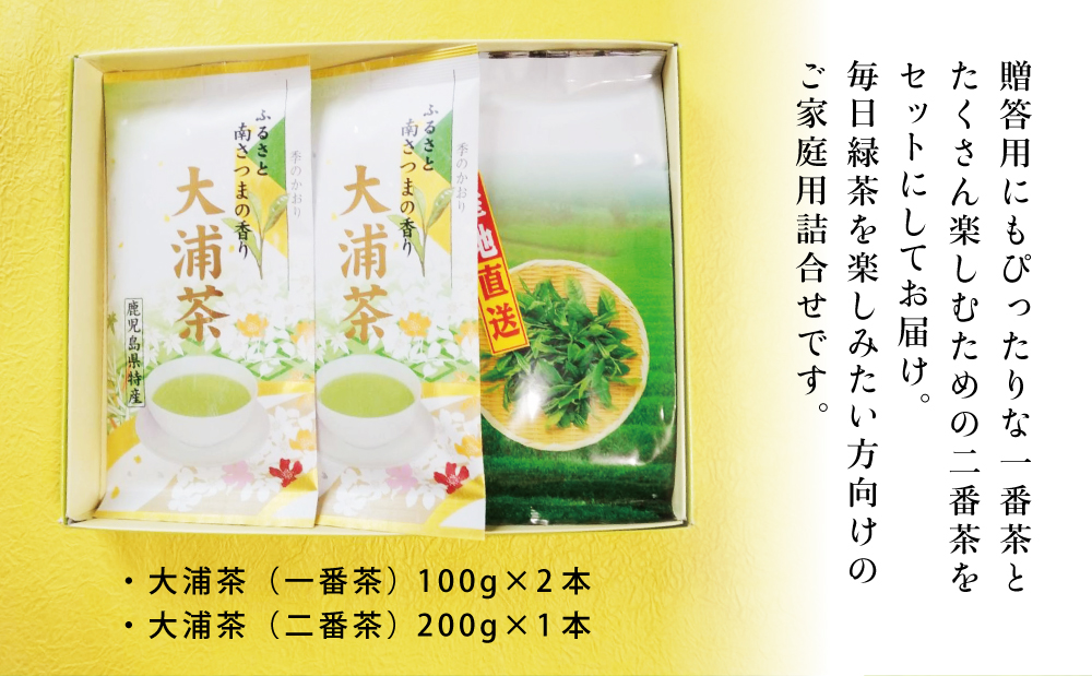 □【ご家庭用】鹿児島県産緑茶 大浦茶 3本セット 計400g