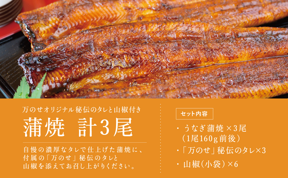 □【国産 鰻】うなぎ専門店「万のせ」うなぎ蒲焼(手焼き) 計3尾