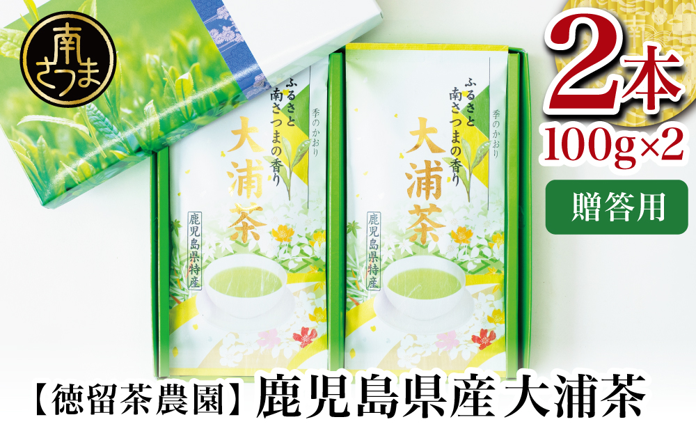 □【贈答用】鹿児島県産緑茶 大浦茶 一番茶2本セット（100g×2）