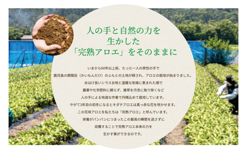□【健康習慣】アロエ健美減秘茶 「ハーブ・サラダ」60包×2袋