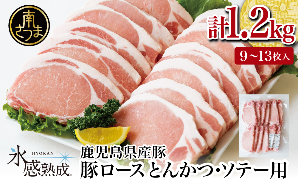 □【氷感熟成豚】鹿児島県産 豚ロース とんかつ・ソテー用 計1.2kg