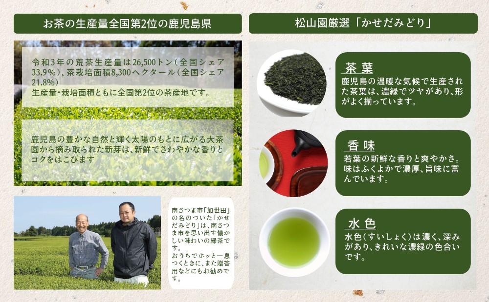 □【鹿児島県産緑茶】  かせだみどり（80g×3袋） ＜2024年新茶：4月下旬発送開始＞