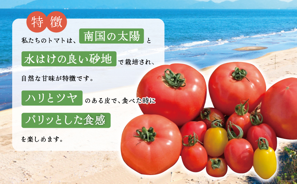 □【鹿児島県南さつま市産】砂丘地で栽培 採れたてトマト詰合せ 約2kg