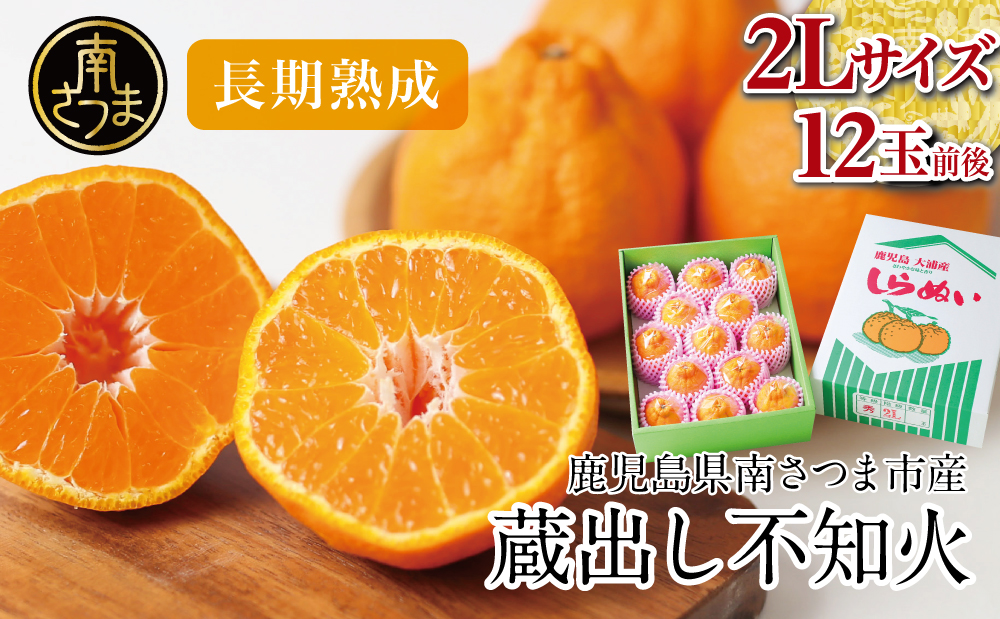 □【長期熟成柑橘】蔵出し不知火（しらぬい） 2L～3Lサイズ 12玉前後