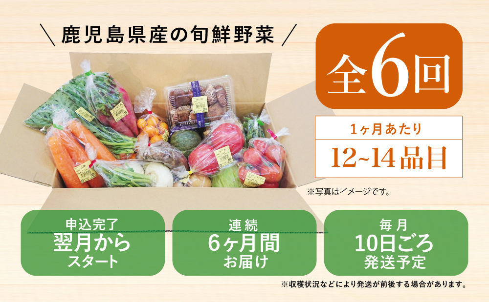 □【かごしま野菜の定期便（全6回）】旬鮮野菜と果物のセット（12～14品目）