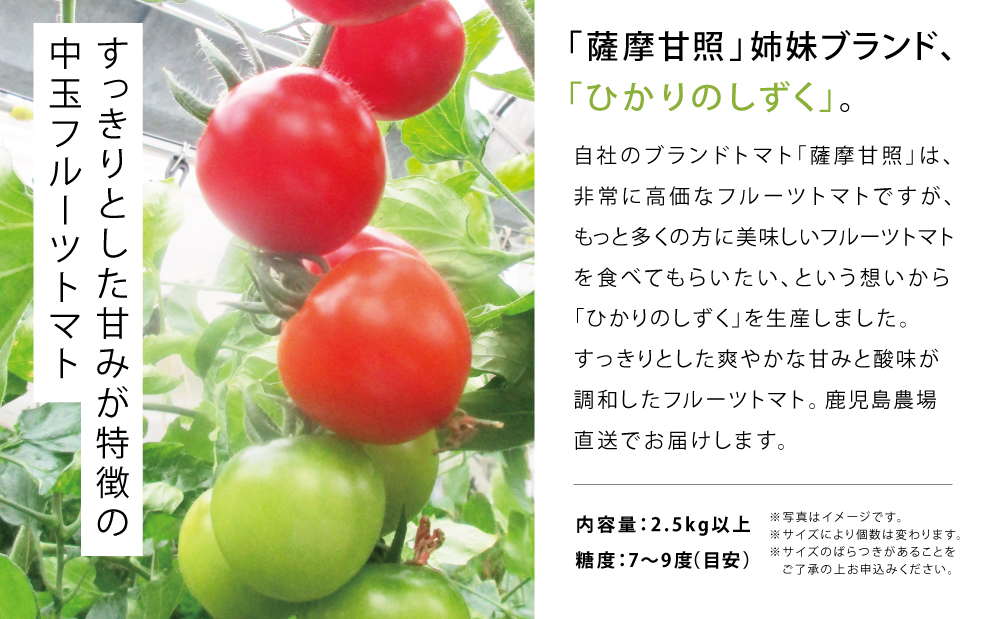 □【2024年1月以降発送】鹿児島県産フルーツトマト「ひかりのしずく」 2.5kg以上