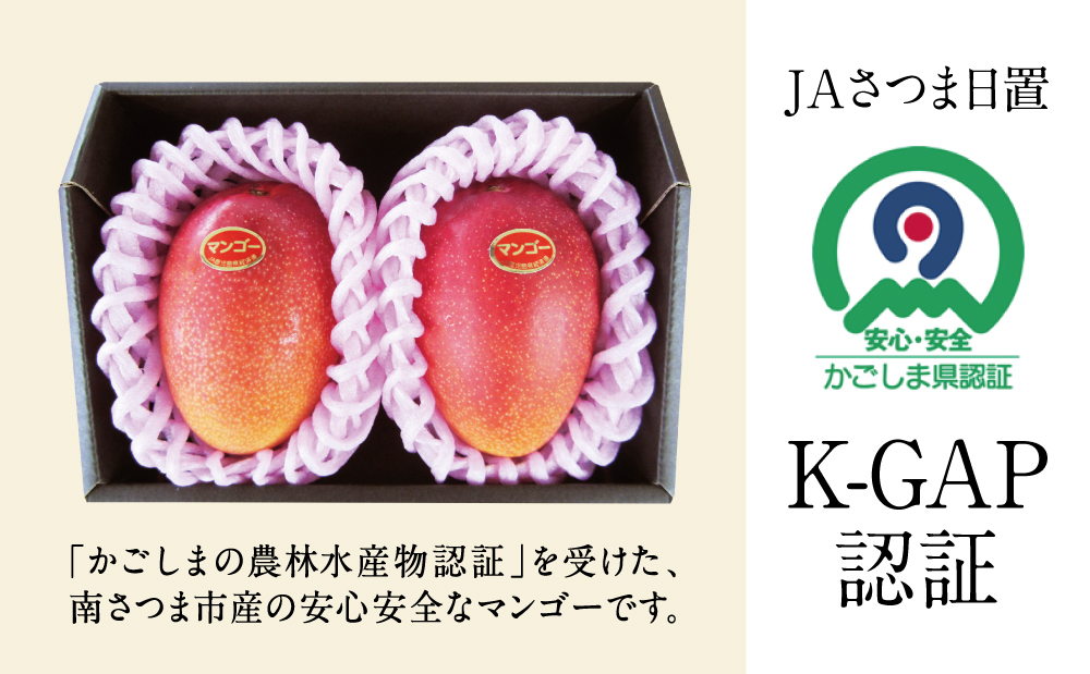 □【鹿児島県産】 数量・期間限定！ 完熟マンゴー 2Lサイズ 2玉（化粧箱入り）