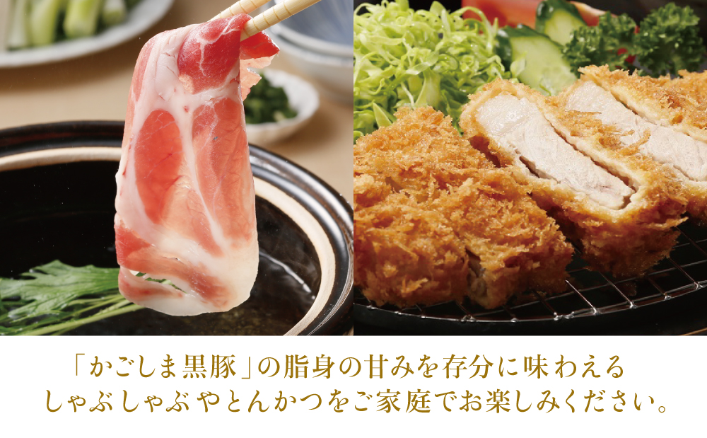 □【JA食肉かごしま】鹿児島黒豚 食べ比べ 4種（バラ・肩ロース・ロース・とんかつ用） 計1.2kg