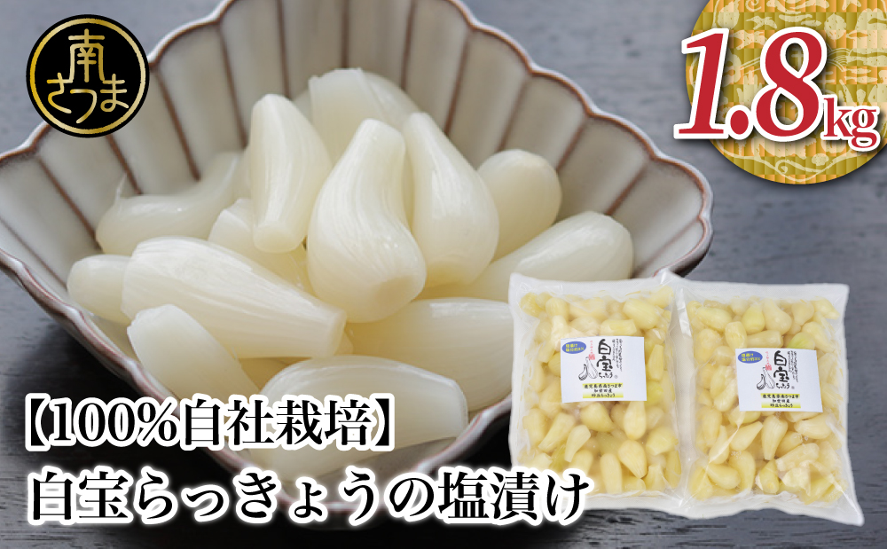 □【鹿児島県産】白宝らっきょうの塩漬け 900g×2P