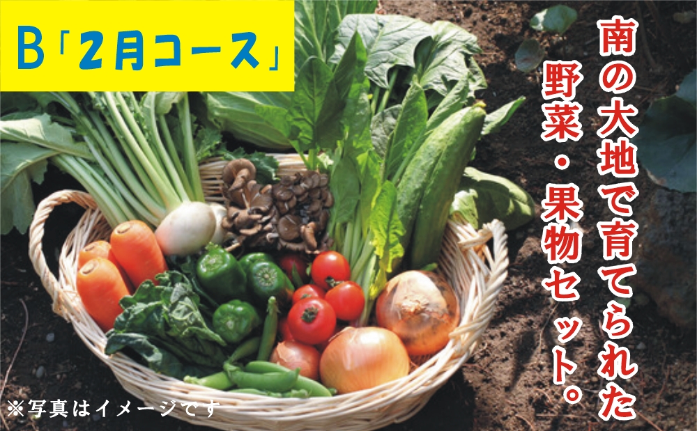 □【鹿児島県産】「2月」南の大地で育てられた旬の野菜・果物セット