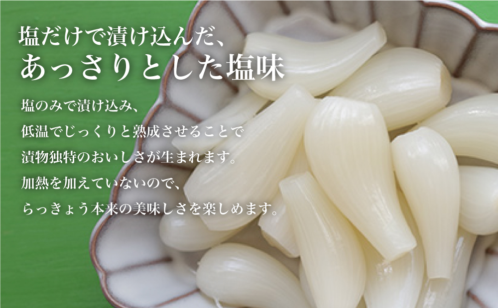 □【鹿児島県産】白宝らっきょうの塩漬け 900g×2P