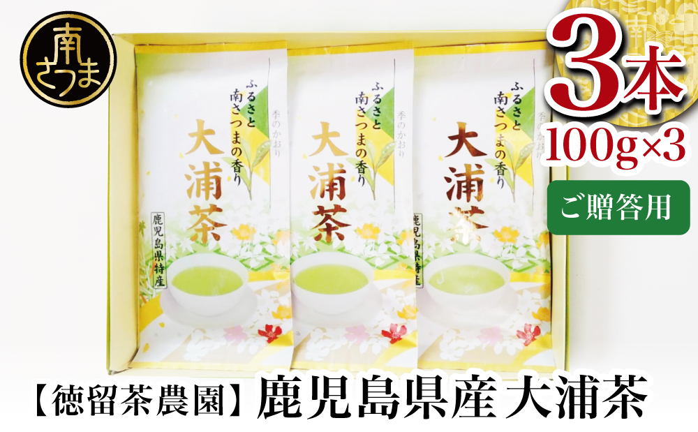 □【贈答用】鹿児島県産緑茶 大浦茶 一番茶 3本セット 計300g（100g×3）