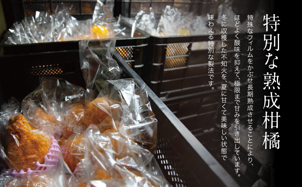 □【長期熟成柑橘】蔵出し不知火（しらぬい） Lサイズ 16玉前後 約3kg