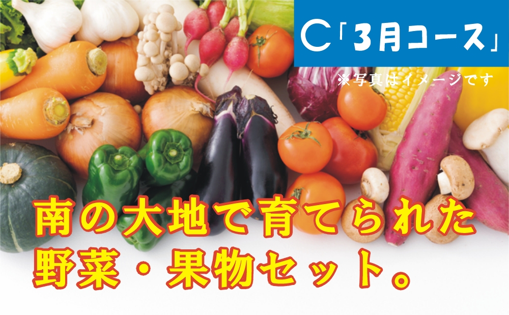 □【鹿児島県産】「3月」南の大地で育てられた旬の野菜・果物セット