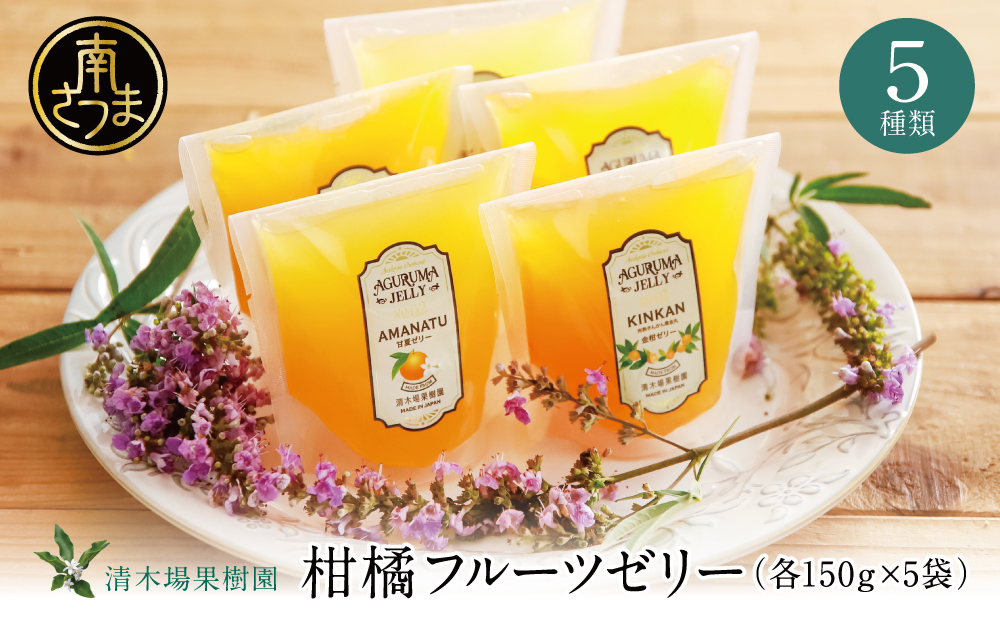 □【鹿児島県産】柑橘フルーツゼリー 詰め合わせ 5種