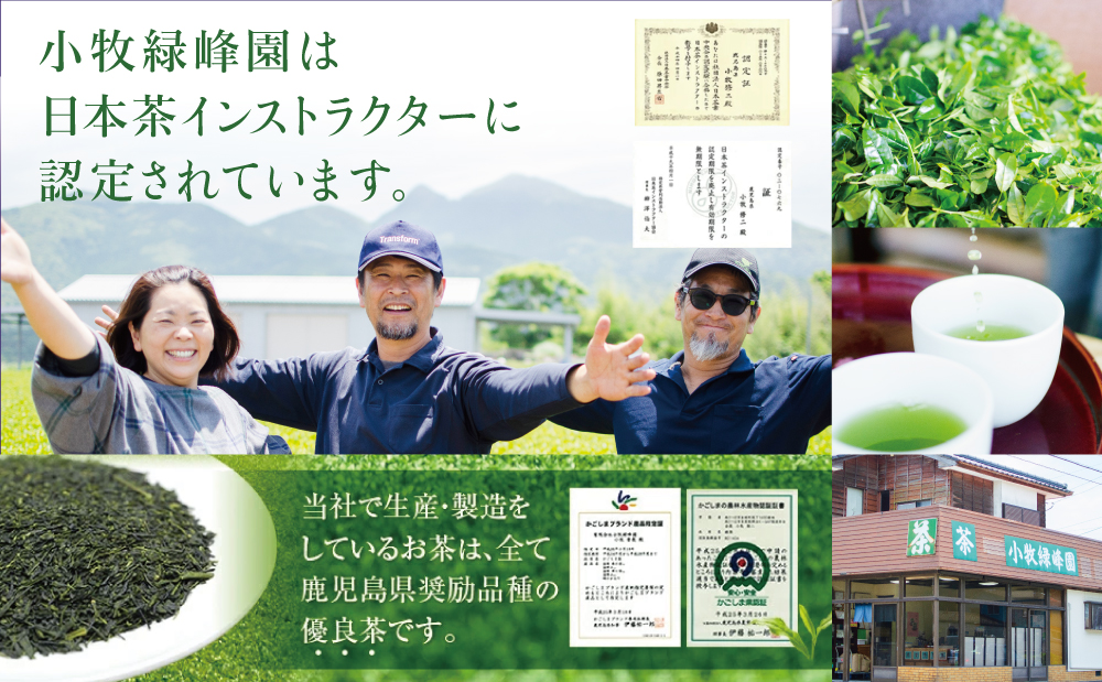 □【日本茶AWARD受賞】高級深蒸し茶「さえみどり」 3本セット (100g×3袋)