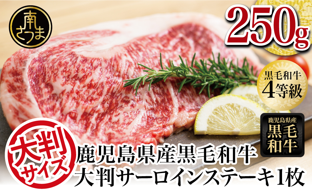□【数量限定】 鹿児島県産 A4等級 黒毛和牛 サーロインステーキ 250g×1枚