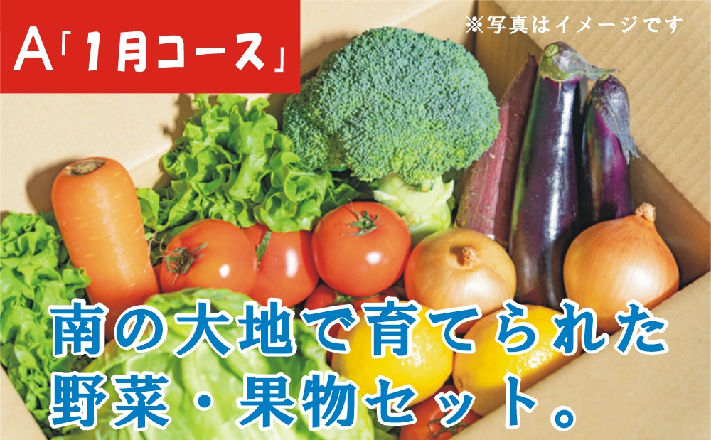 □【鹿児島県産】「1月」南の大地で育てられた旬の野菜・果物セット