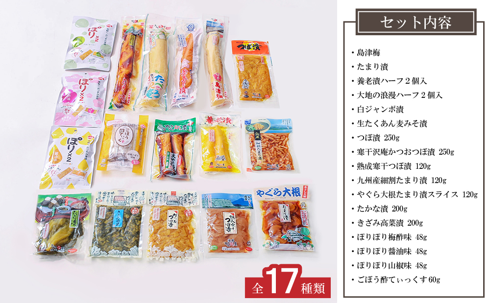 □【九州産野菜使用】水溜食品 西郷どんのお漬物詰め合わせ 計17袋