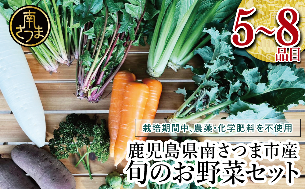 □【鹿児島県南さつま市産】福元農園 旬のお野菜 おまかせセット 1箱（5～8品目）