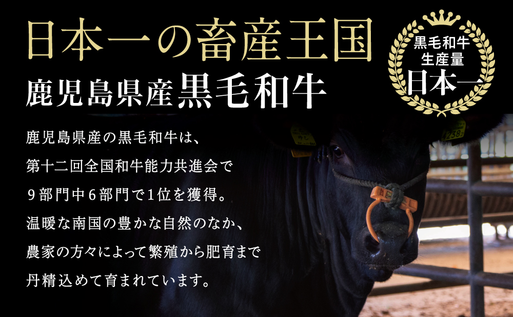 □【定期便】 鹿児島県産 黒毛和牛 赤身ももスライス 600g×3回 (合計1.8kg)