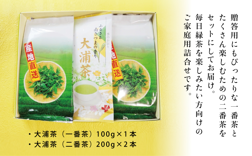 □【ご家庭用】鹿児島県産緑茶 大浦茶 3本セット 計500g