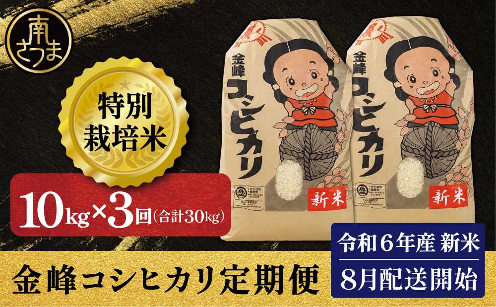 □【お米の定期便 全3回】令和6年産 特別栽培米 金峰コシヒカリ石蔵米 10kg×3ヶ月