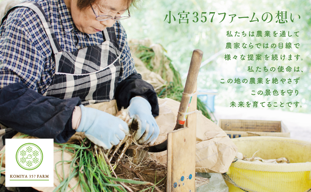 □【鹿児島県南さつま市産】期間限定！砂丘地で栽培したエシャレット 約800g（約200g×4袋）