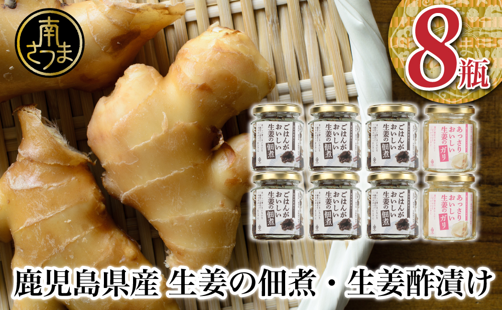 □【健康習慣】生姜の佃煮・生姜酢漬け 2種 計8個