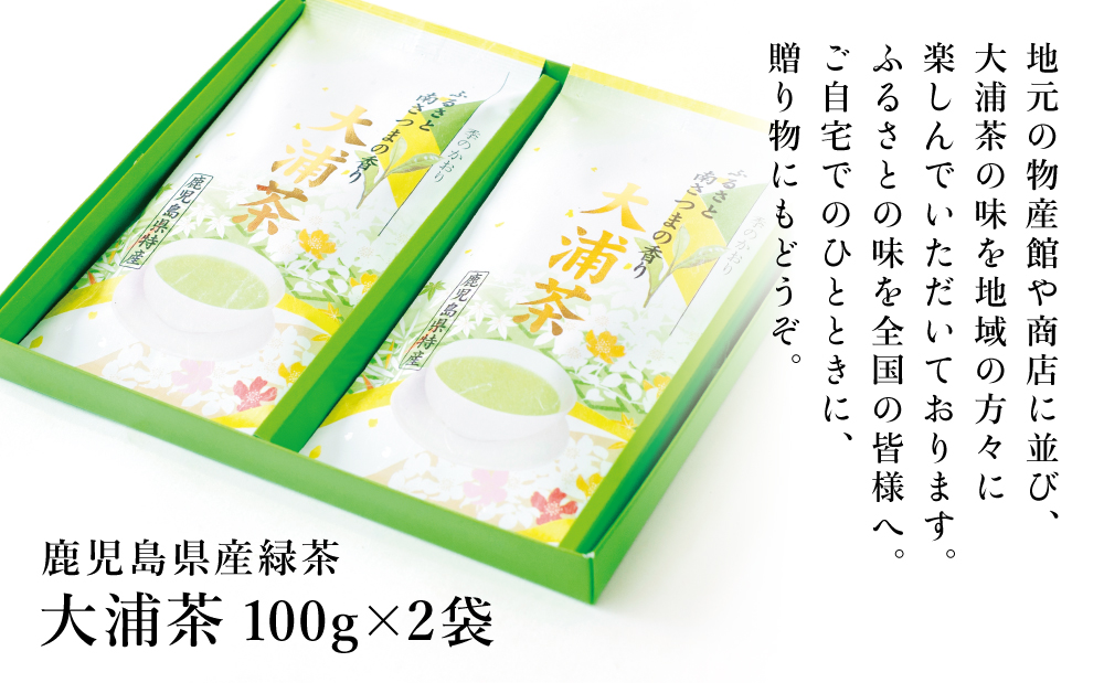 □【贈答用】鹿児島県産緑茶 大浦茶 一番茶2本セット（100g×2） ◆2024年産新茶