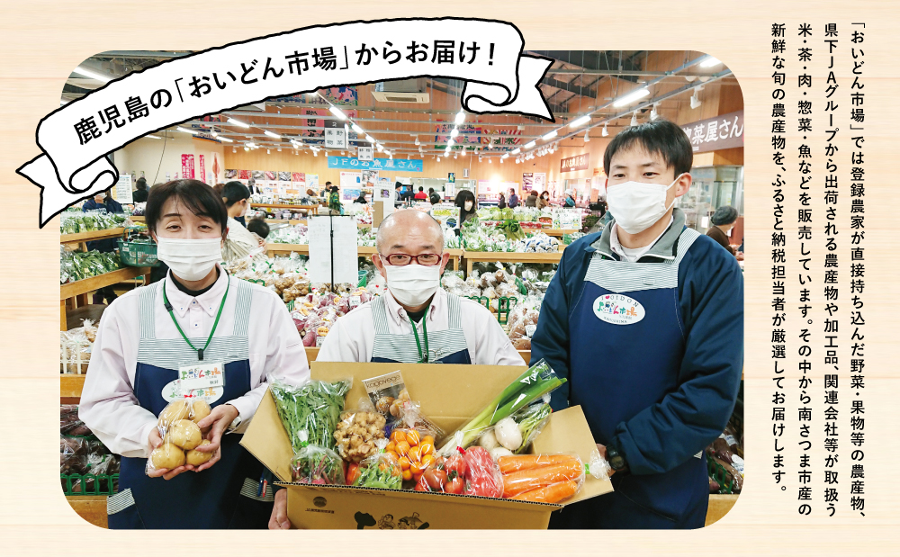 □【かごしま野菜の定期便（全12回）】旬鮮野菜と果物のセット（12～14品目）