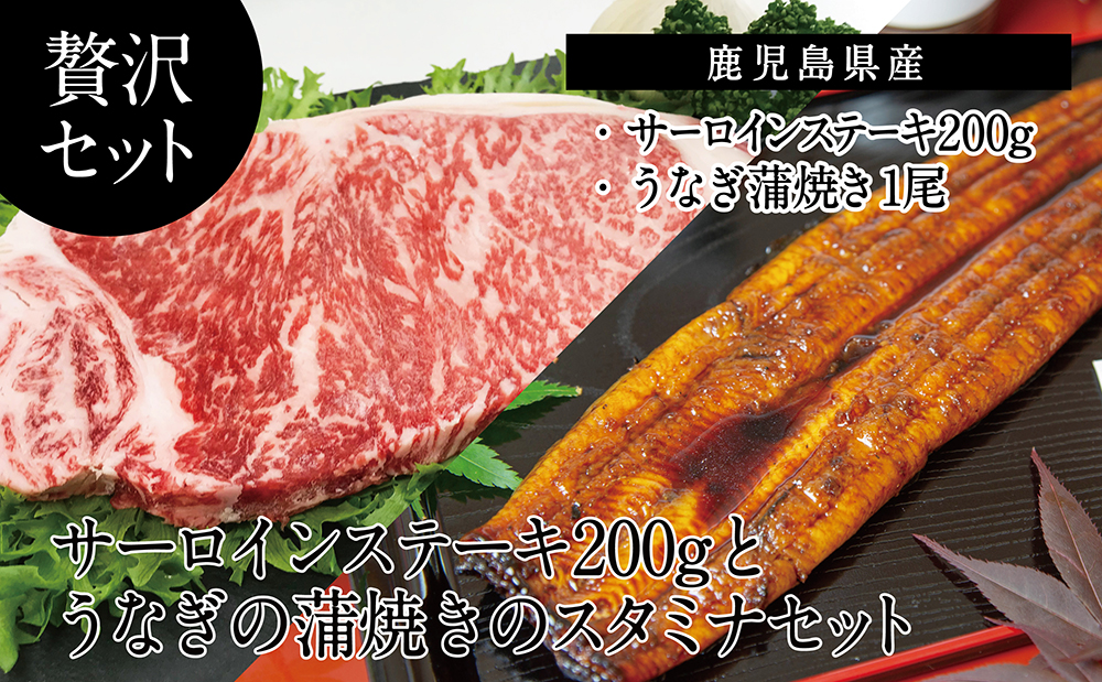 □うなぎ蒲焼きと和牛ステーキのスタミナセット（同梱発送）
