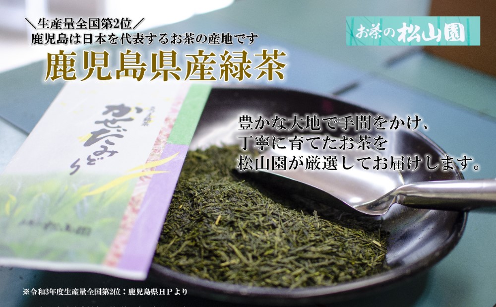 □【鹿児島県産緑茶】かぶせ茶 かせだみどり（80g×5袋） ＜2024年新茶：5月上旬発送開始＞