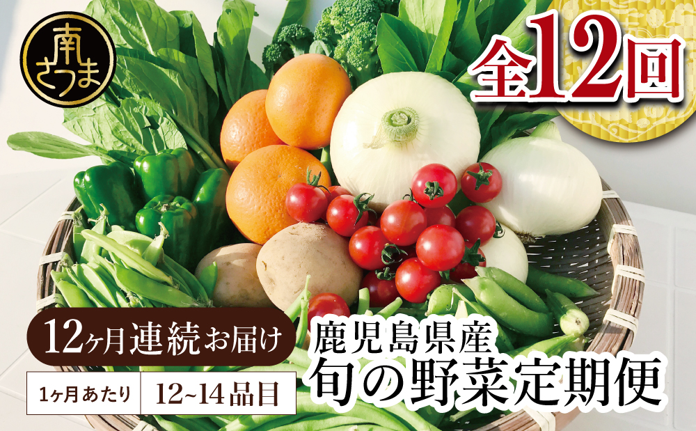 □【かごしま野菜の定期便（全12回）】旬鮮野菜と果物のセット（12～14品目）