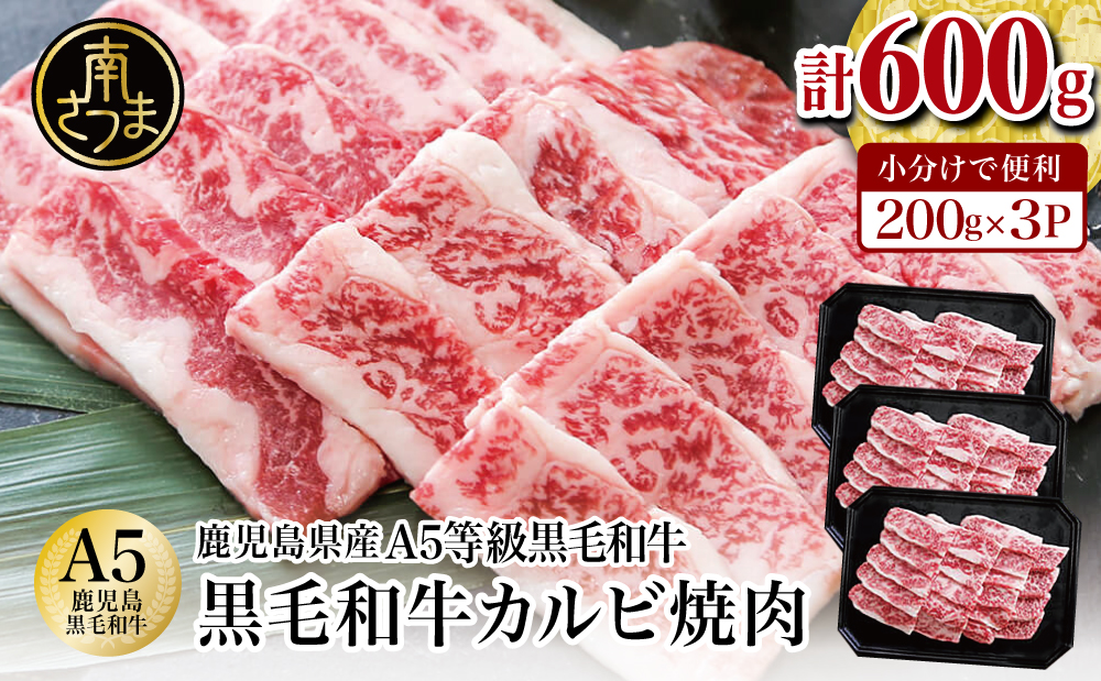 □【鹿児島県産】A5等級黒毛和牛 カルビ焼肉 計600g（200g×3P）