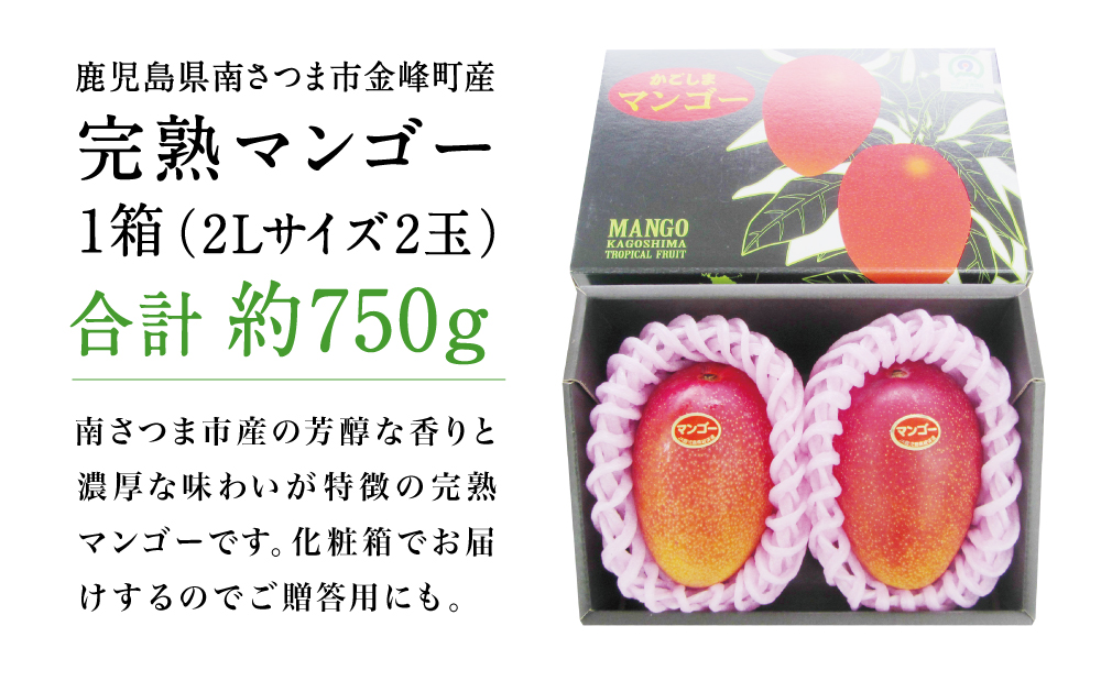 □【鹿児島県産】 数量・期間限定！ 完熟マンゴー 2Lサイズ 2玉（化粧箱入り）