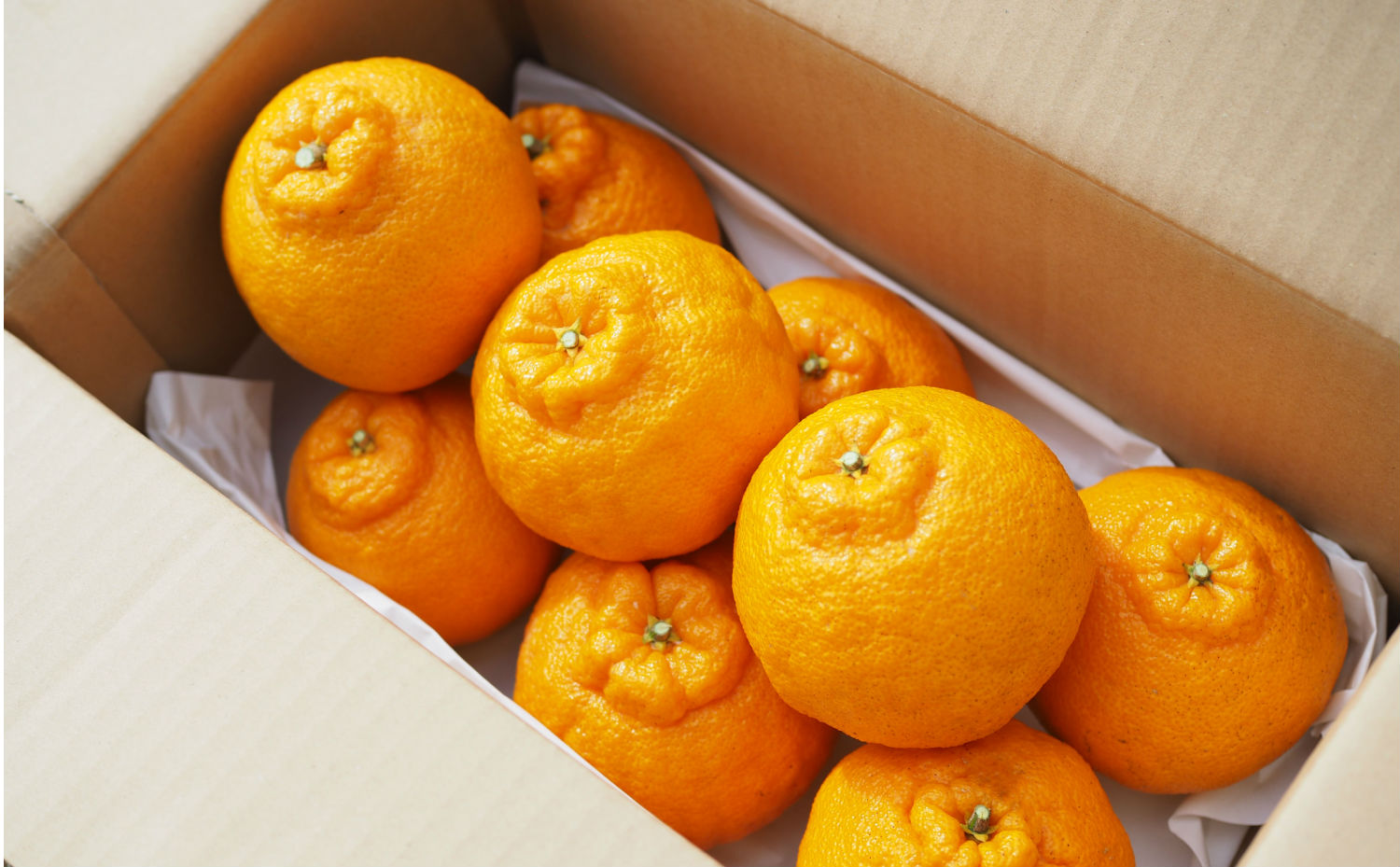 □【訳あり】清木場果樹園 キングオレンジ 約5kg（鹿児島県産不知火）