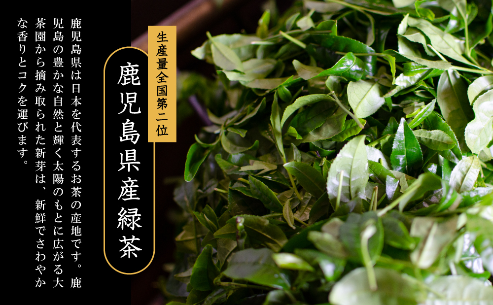□【日本茶AWARD受賞】鹿児島緑茶と紅茶のセット（計250g）