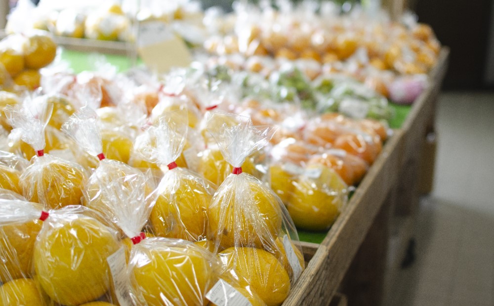 □◆12月上旬出荷開始◆【鹿児島県南さつま市産】旬の柑橘類詰め合わせ 1箱