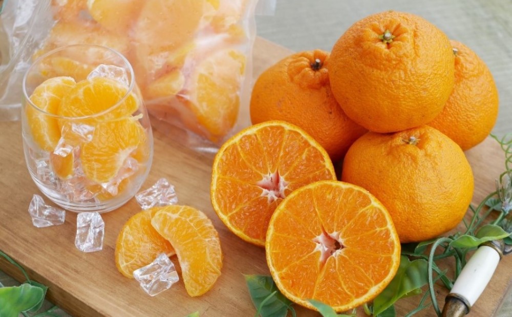□【南さつま市産】簡単便利! 冷凍キングオレンジ（不知火）1kg（500g×2）