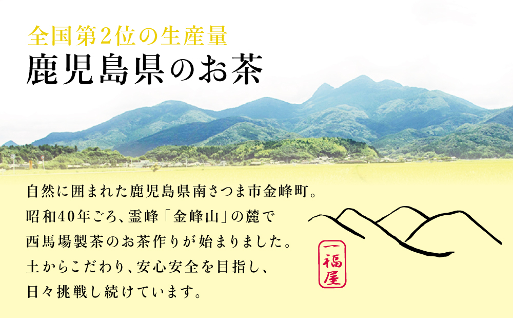 □【鹿児島茶】自園自製 刈番くき茶1.5kg+ほうじ茶ティーパック