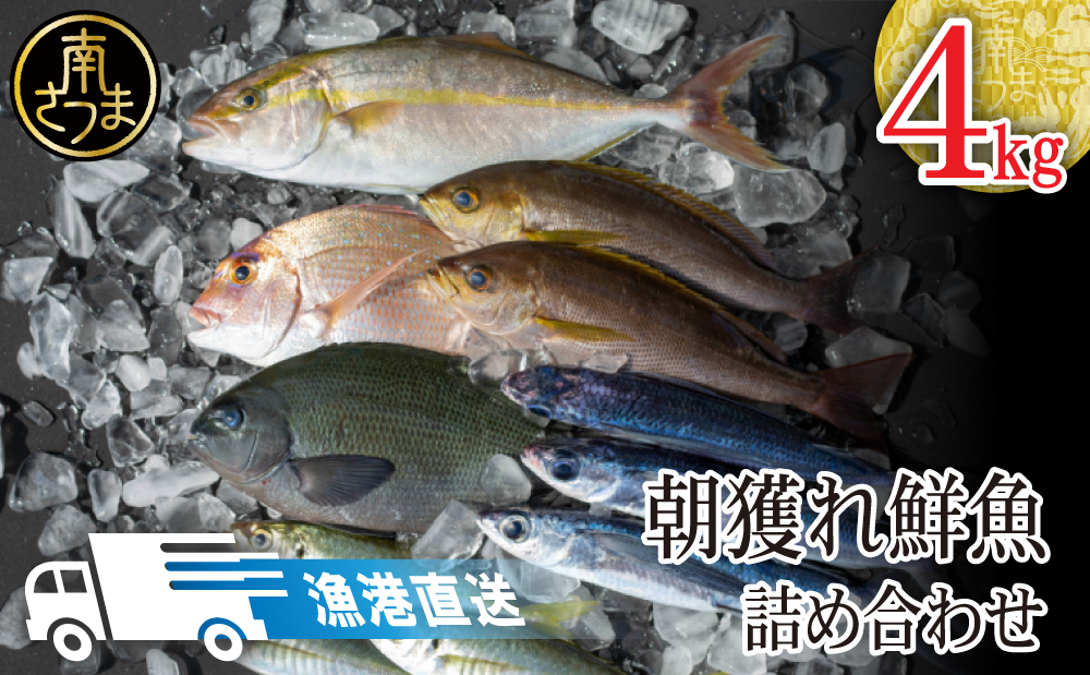 □【漁港直送】朝獲れ鮮魚 詰め合わせ 4ｋｇ