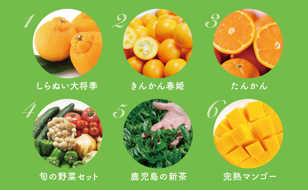 □【定期便】南国の恵み 旬のフルーツ・野菜定期便（全12回）