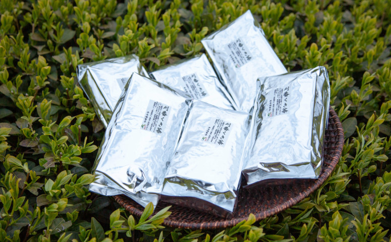 □【鹿児島茶】自園自製 刈番くき茶 3kg（500g×6）