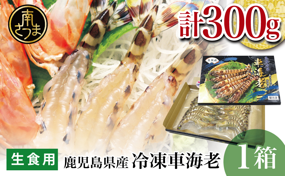 □【鹿児島県産】活〆 冷凍車海老 300g（生食用）