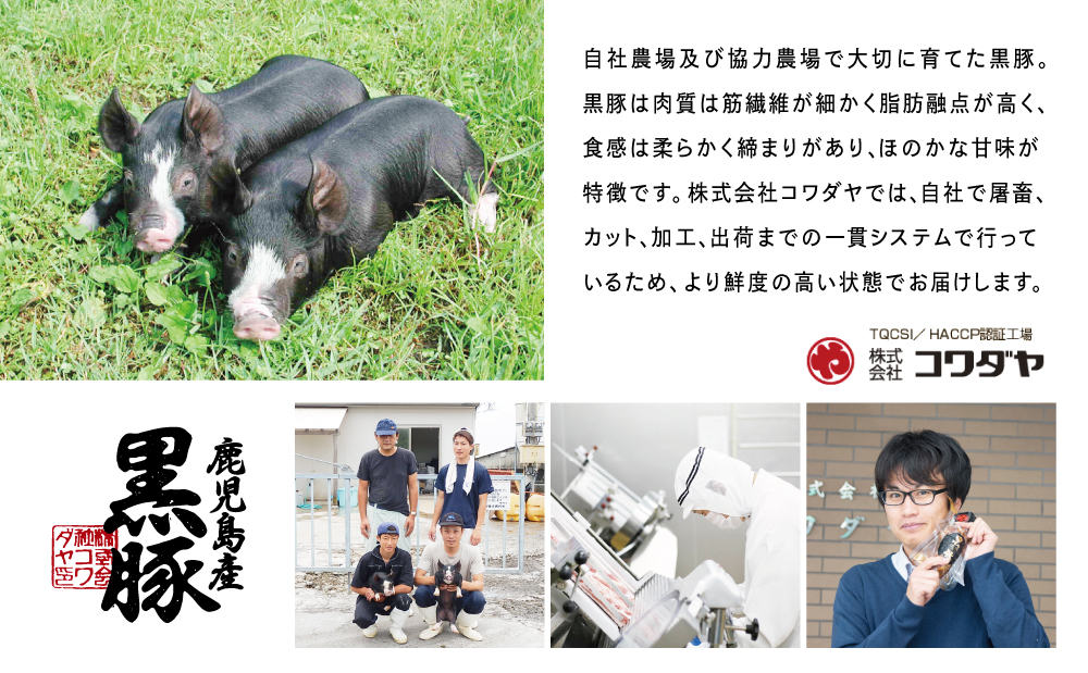 □【鹿児島県産】厳選黒豚 便利な3種1.5kg（ロース、モモ、ミンチ）