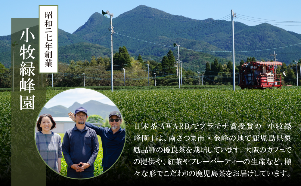 □【日本茶AWARD受賞】鹿児島緑茶と紅茶のセット（計250g）