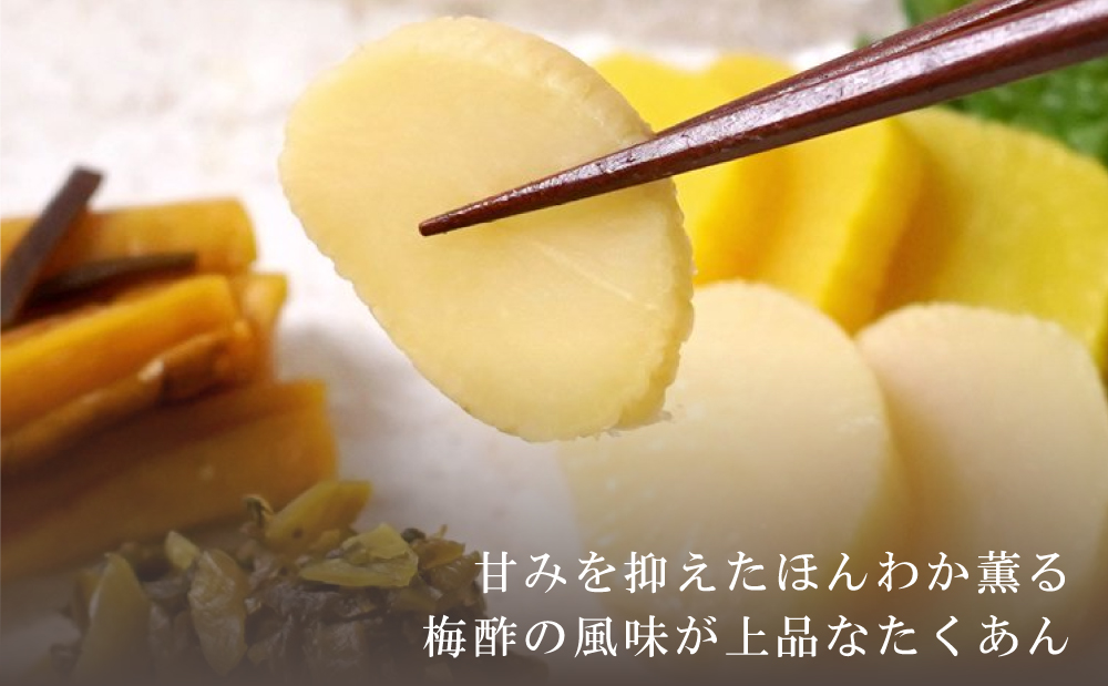 □【九州産野菜使用】水溜食品 島津梅一本 15本入
