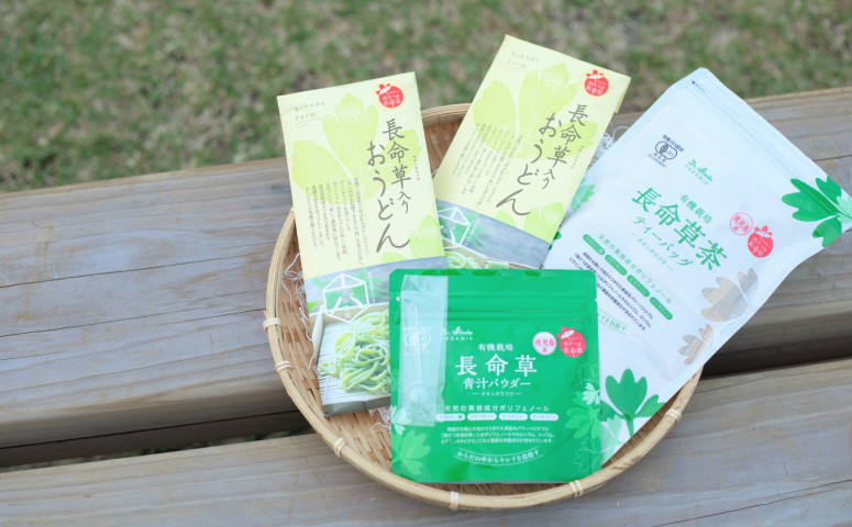 □【オーガニック健康茶】Dr.Itsuko オーガニック長命草チョイス