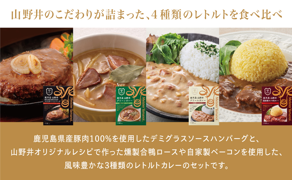 □【マイスター山野井】鹿児島県産豚肉100%ハンバーグ（150g×3個）＆3種類のカレーセット